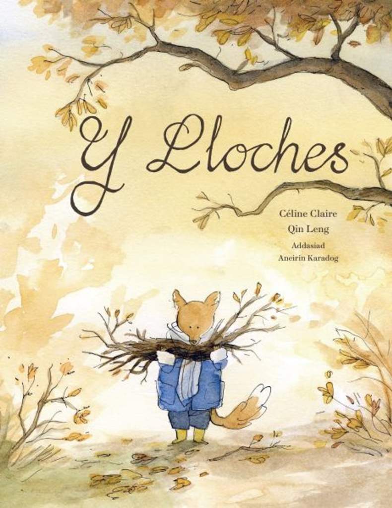 Cover for Y Lloches
